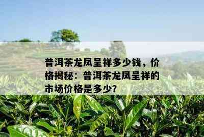 普洱茶龙凤呈祥多少钱，价格揭秘：普洱茶龙凤呈祥的市场价格是多少？