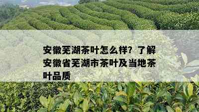 安徽芜湖茶叶怎么样？了解安徽省芜湖市茶叶及当地茶叶品质