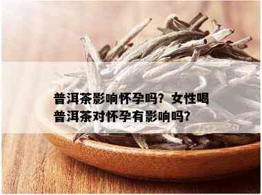 普洱茶影响怀孕吗？女性喝普洱茶对怀孕有影响吗？