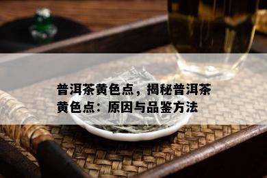 普洱茶黄色点，揭秘普洱茶黄色点：原因与品鉴方法