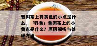 普洱茶上有黄色的小点是什么，「科普」普洱茶上的小黄点是什么？原因解析与处理方法