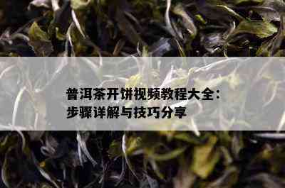 普洱茶开饼视频教程大全：步骤详解与技巧分享