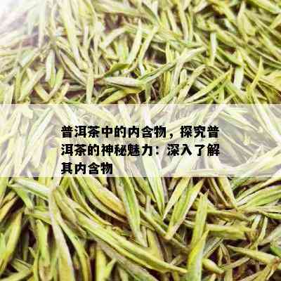 普洱茶中的内含物，探究普洱茶的神秘魅力：深入了解其内含物