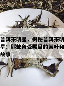 普洱茶明星，揭秘普洱茶明星：那些备受瞩目的茶叶和故事