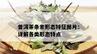 普洱茶条索形态特征图片：详解各类形态特点