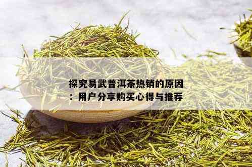 探究易武普洱茶热销的原因：用户分享购买心得与推荐