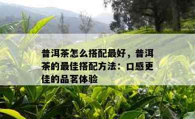 普洱茶怎么搭配更好，普洱茶的更佳搭配方法：口感更佳的品茗体验