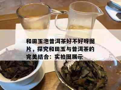 和田玉泡普洱茶好不好呀图片，探究和田玉与普洱茶的完美结合：实拍图展示