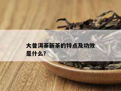 大普洱茶新茶的特点及功效是什么？