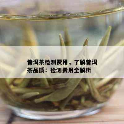 普洱茶检测费用，了解普洱茶品质：检测费用全解析