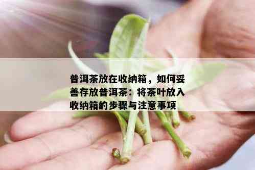 普洱茶放在收纳箱，如何妥善存放普洱茶：将茶叶放入收纳箱的步骤与注意事项