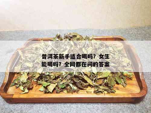 普洱茶新手适合喝吗？女生能喝吗？全网都在问的答案