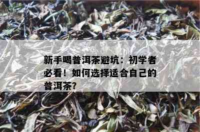 新手喝普洱茶避坑：初学者必看！如何选择适合自己的普洱茶？