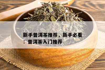 新手普洱茶推荐，新手必看：普洱茶入门推荐