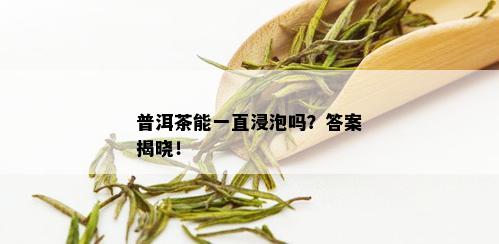 普洱茶能一直浸泡吗？答案揭晓！