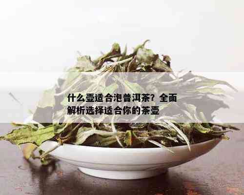 什么壶适合泡普洱茶？全面解析选择适合你的茶壶