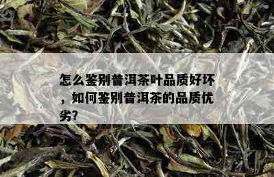 怎么鉴别普洱茶叶品质好坏，如何鉴别普洱茶的品质优劣？