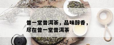 普一堂普洱茶，品味醇香，尽在普一堂普洱茶