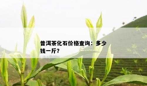 普洱茶化石价格查询：多少钱一斤？