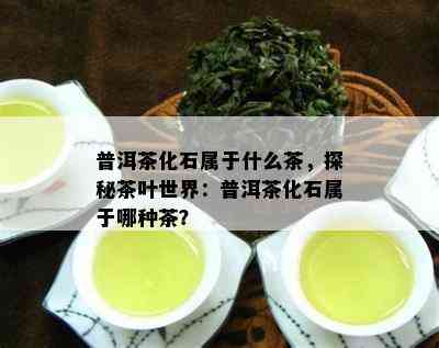 普洱茶化石属于什么茶，探秘茶叶世界：普洱茶化石属于哪种茶？