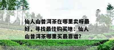 仙人山普洱茶在哪里卖呀更好，寻找更佳购买地：仙人山普洱茶哪里买最靠谱？