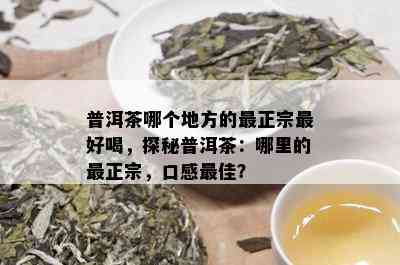 普洱茶哪个地方的最正宗更好喝，探秘普洱茶：哪里的最正宗，口感更佳？