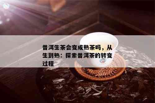 普洱生茶会变成熟茶吗，从生到熟：探索普洱茶的转变过程