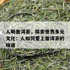 人喝普洱茶，探索世界多元文化：人如何爱上普洱茶的味道