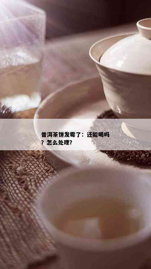 普洱茶饼发霉了：还能喝吗？怎么处理？