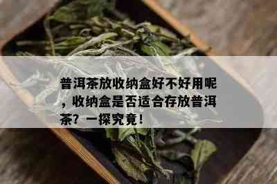 普洱茶放收纳盒好不好用呢，收纳盒是否适合存放普洱茶？一探究竟！