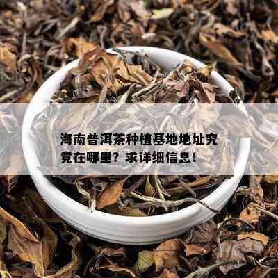 海南普洱茶种植基地地址究竟在哪里？求详细信息！