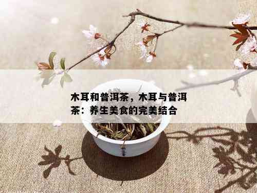 木耳和普洱茶，木耳与普洱茶：养生美食的完美结合