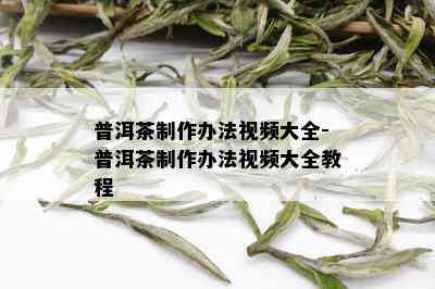 普洱茶制作办法视频大全-普洱茶制作办法视频大全教程