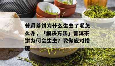 普洱茶饼为什么生虫了呢怎么办，「解决方法」普洱茶饼为何会生虫？教你应对措施