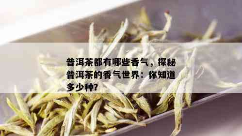 普洱茶都有哪些香气，探秘普洱茶的香气世界：你知道多少种？