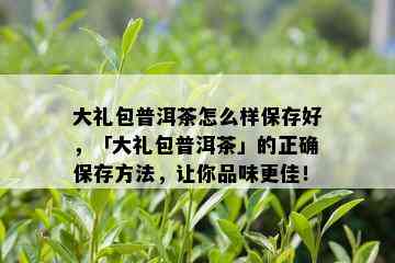 大礼包普洱茶怎么样保存好，「大礼包普洱茶」的正确保存方法，让你品味更佳！