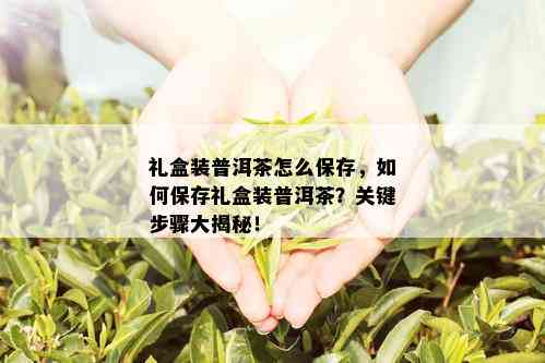 礼盒装普洱茶怎么保存，如何保存礼盒装普洱茶？关键步骤大揭秘！