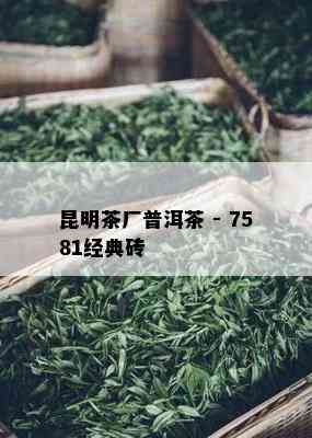 昆明茶厂普洱茶 - 7581经典砖 