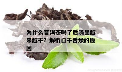 为什么普洱茶喝了后嘴里越来越干？解析口干舌燥的原因