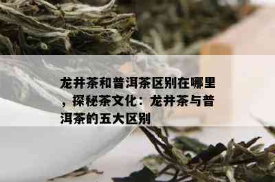 龙井茶和普洱茶区别在哪里，探秘茶文化：龙井茶与普洱茶的五大区别