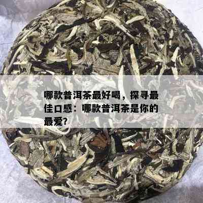 哪款普洱茶更好喝，探寻更佳口感：哪款普洱茶是你的更爱？