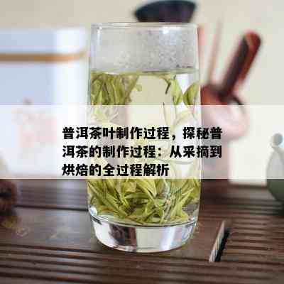 普洱茶叶制作过程，探秘普洱茶的制作过程：从采摘到烘焙的全过程解析