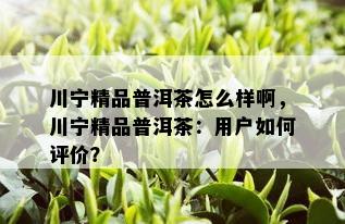 川宁精品普洱茶怎么样啊，川宁精品普洱茶：用户如何评价？