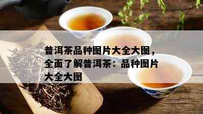 普洱茶品种图片大全大图，全面了解普洱茶：品种图片大全大图