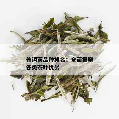 普洱茶品种排名：全面揭晓各类茶叶优劣