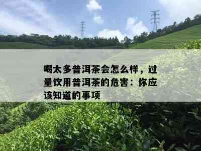 喝太多普洱茶会怎么样，过量饮用普洱茶的危害：你应该知道的事项