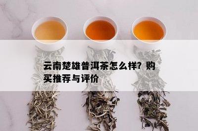 云南楚雄普洱茶怎么样？购买推荐与评价