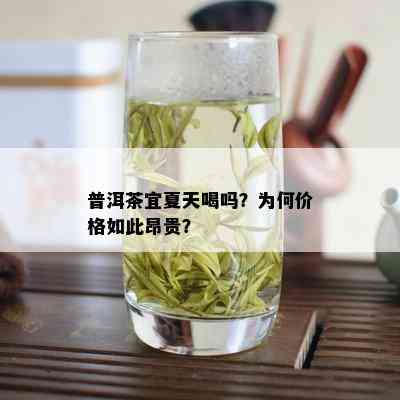 普洱茶宜夏天喝吗？为何价格如此昂贵？