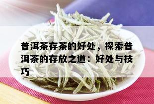 普洱茶存茶的好处，探索普洱茶的存放之道：好处与技巧