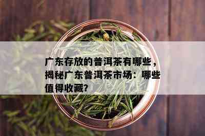 广东存放的普洱茶有哪些，揭秘广东普洱茶市场：哪些值得收藏？